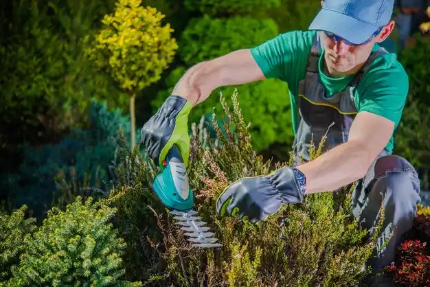 landscaping services Queen City